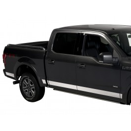 F-150 Reg Cab 2015-2020 Stainless Steel Body Side Molding Trim for 8.0' Bed