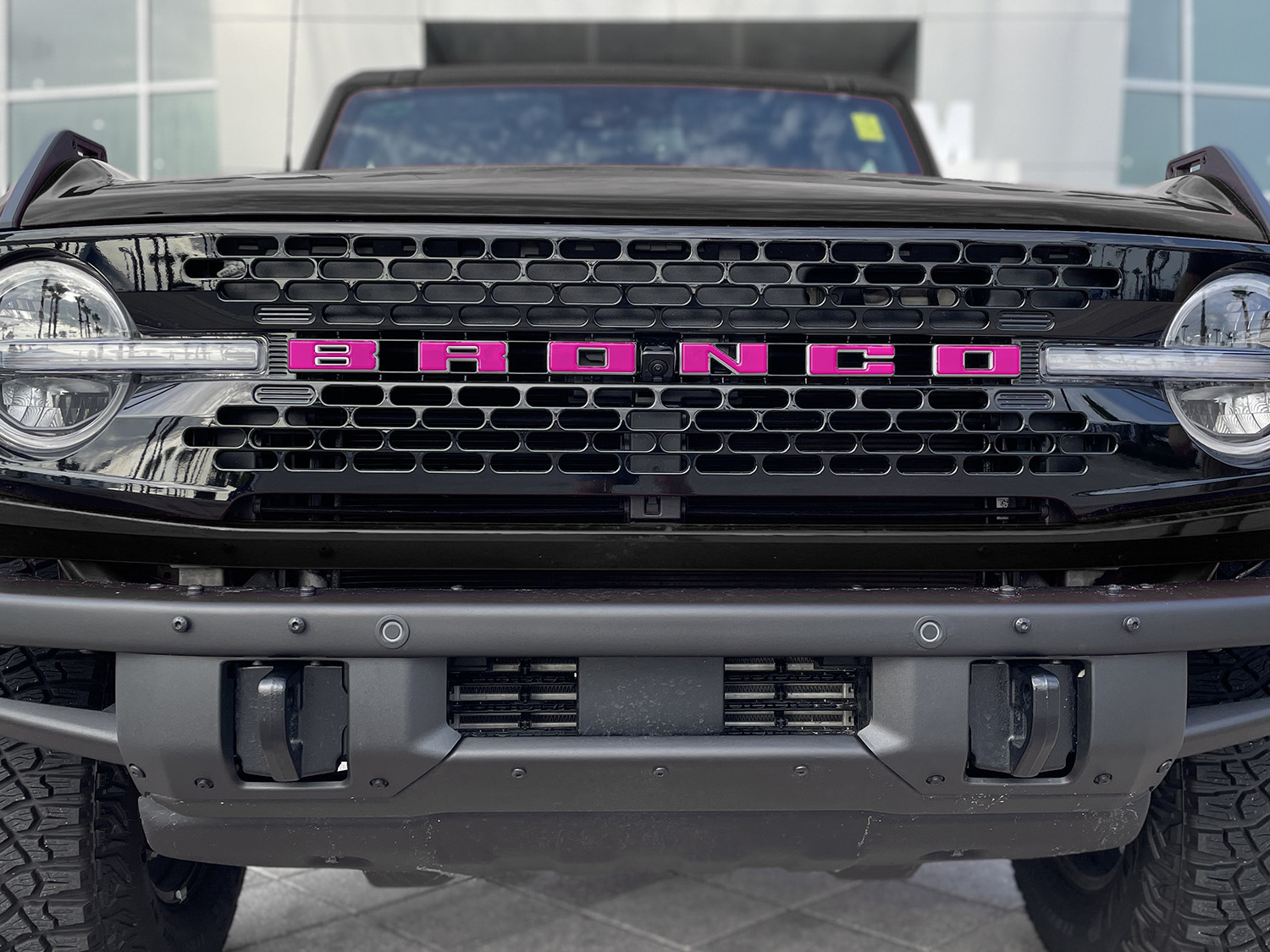 Image for Exterior Trim, Grille Lettering, Pink from AccessoriesCanada